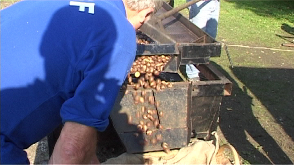 Castagnata paderna 2006